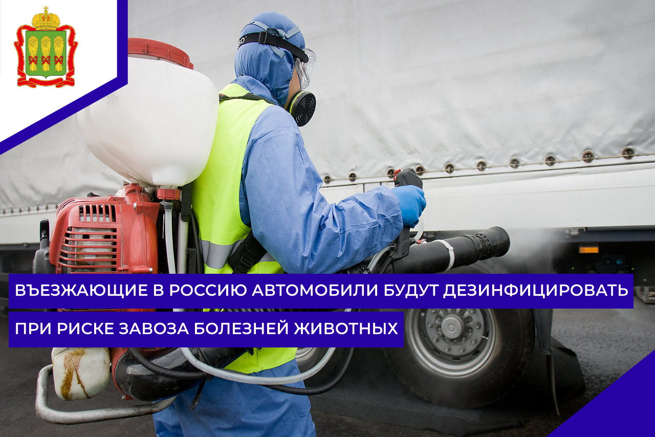 Въезжающие в Россию автомобили будут дезинфицировать при риске завоза болезней животных Въезжающие в Россию автомобили будут дезинфицировать при риске завоза болезней животных
