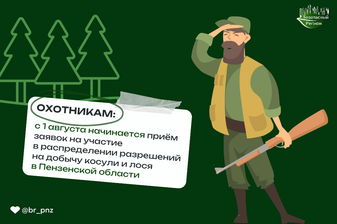 Приём заявок на участие в распределении разрешений на добычу косули и лося начнётся на региональном портале госуслуг Пензенской области 1 августа