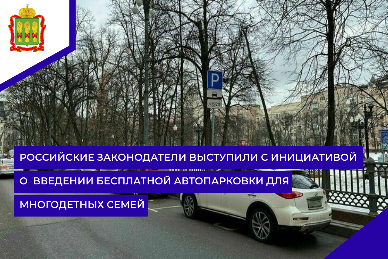 Российские законодатели выступили с инициативой о введении бесплатной автопарковки для многодетных семей