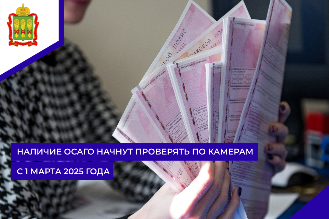 Наличие ОСАГО начнут проверять по камерам с 1 марта 2025 года