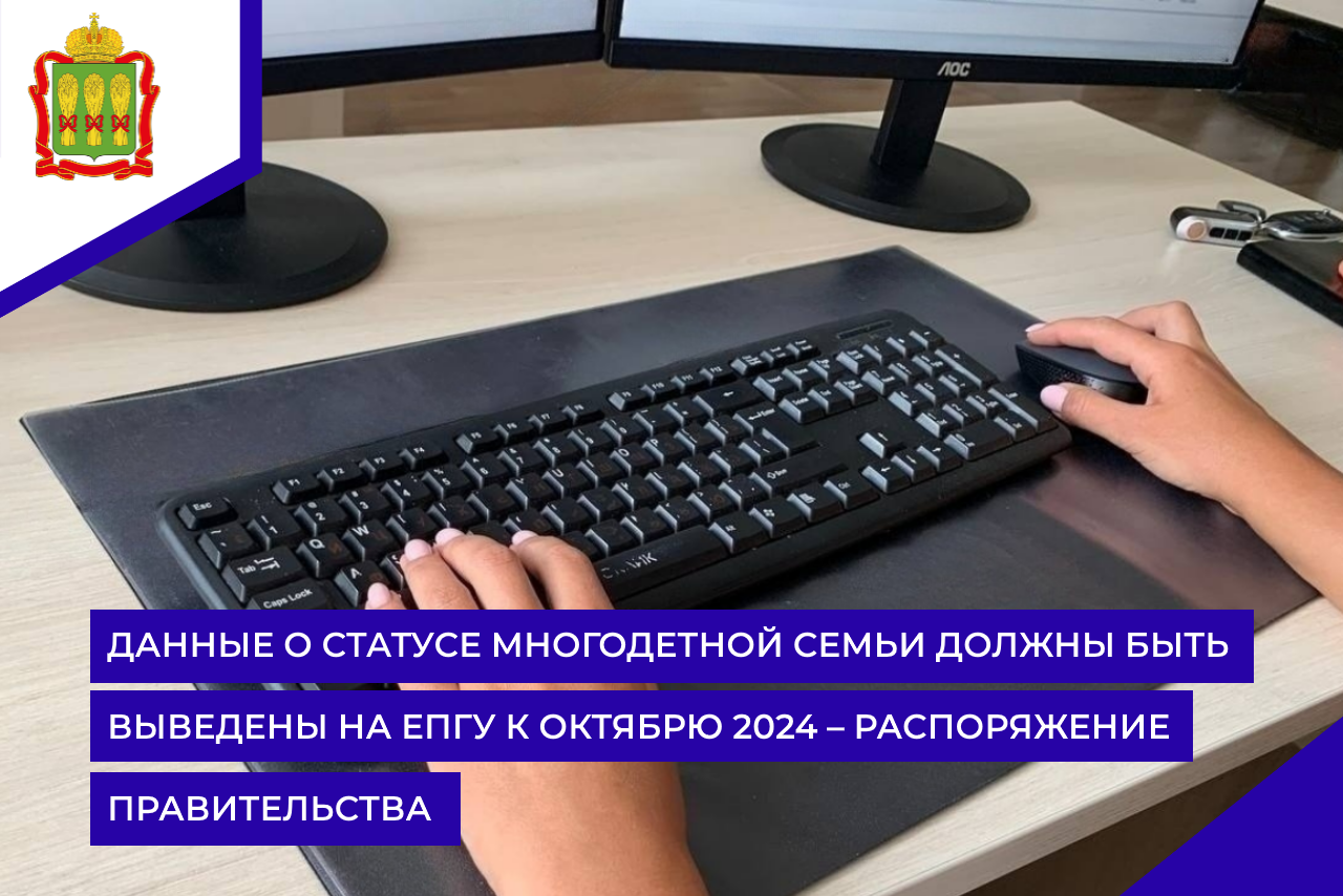 Данные о статусе многодетной семьи должны быть выведены на ЕПГУ к октябрю 2024 – распоряжение правительства