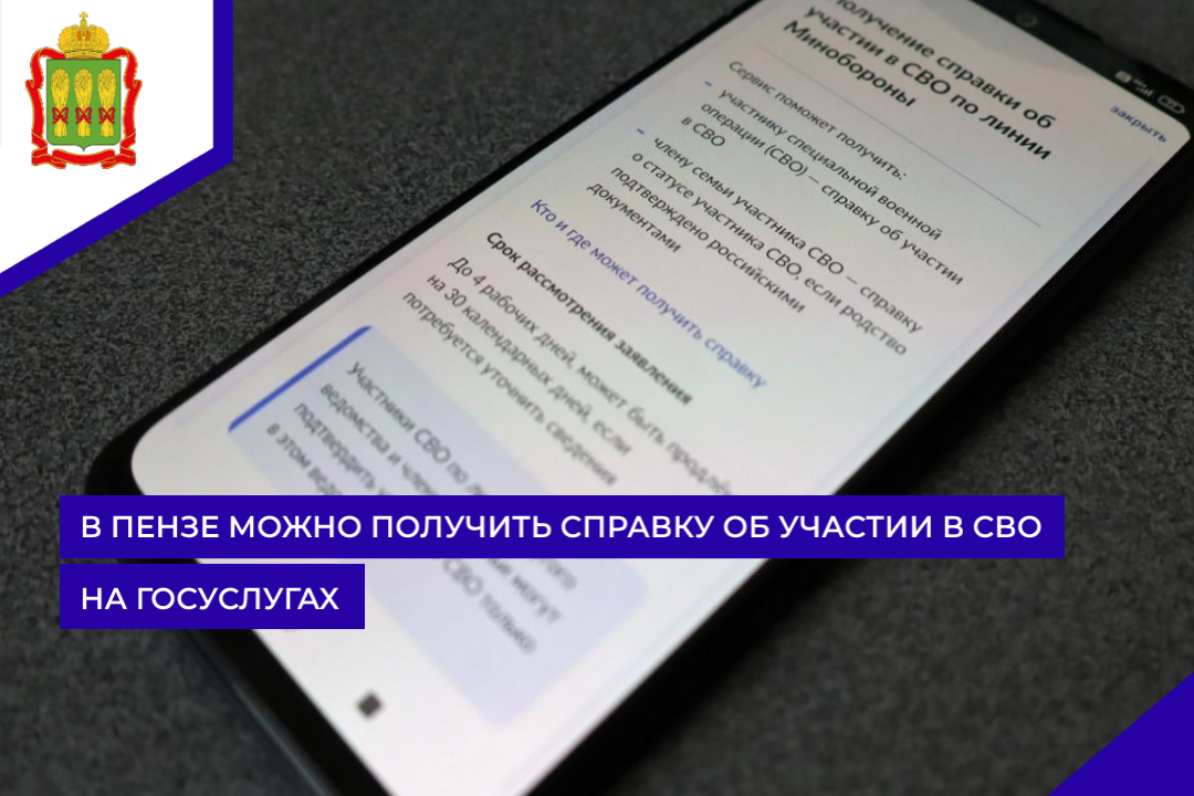 В Пензе можно получить справку об участии в СВО на Госуслугах В Пензе можно получить справку об участии в СВО на Госуслугах