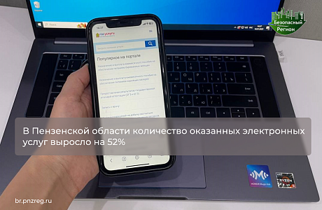 В Пензенской области количество оказанных электронных услуг выросло на 52%