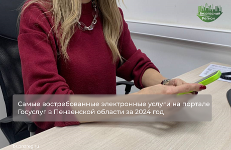 Самые востребованные электронные услуги на портале Госуслуг в Пензенской области за 2024 год