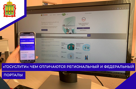 «Госуслуги»: чем отличаются региональный и федеральный порталы 