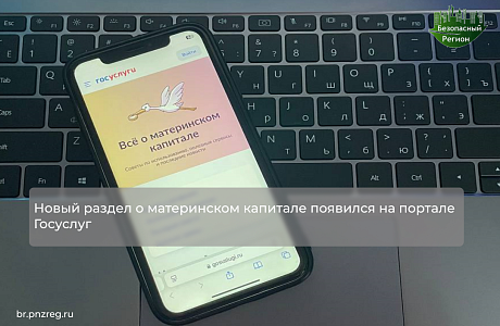 Новый раздел о материнском капитале появился на портале Госуслуг
