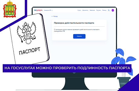 На Госуслугах можно проверить подлинность паспорта 