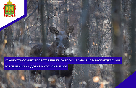 С 1 августа осуществляется приём заявок на участие в распределении разрешений на добычу косули и лося 