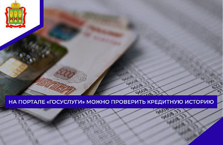 На портале «Госуслуги» можно проверить кредитную историю На портале «Госуслуги» можно проверить кредитную историю