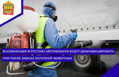 Въезжающие в Россию автомобили будут дезинфицировать при риске завоза болезней животных