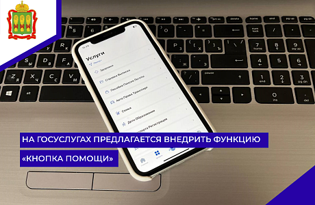 На Госуслугах предлагается внедрить функцию «кнопка помощи»