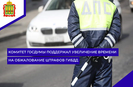 Комитет Госдумы поддержал увеличение времени на обжалование штрафов ГИБДД
