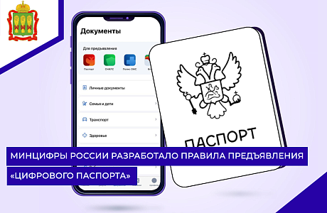 Минцифры России разработало правила предъявления «цифрового паспорта»