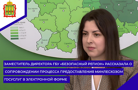 Заместитель директора ГБУ «Безопасный регион» рассказала о сопровождении процесса предоставления Минлесхозом госуслуг в электронной форме 