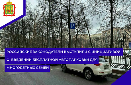 Российские законодатели выступили с инициативой о введении бесплатной автопарковки для многодетных семей