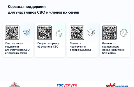 Сервисы поддержки для участников СВО и членов их семей