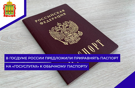 В Госдуме России предложили приравнять паспорт на «Госуслугах» к обычному паспорту