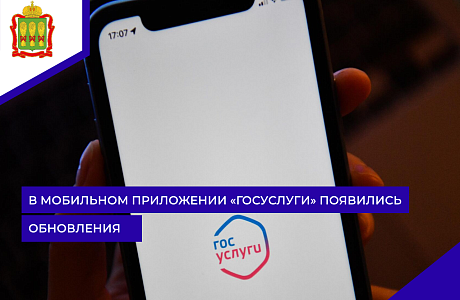 В мобильном приложении «Госуслуги» появились обновления В мобильном приложении «Госуслуги» появились обновления